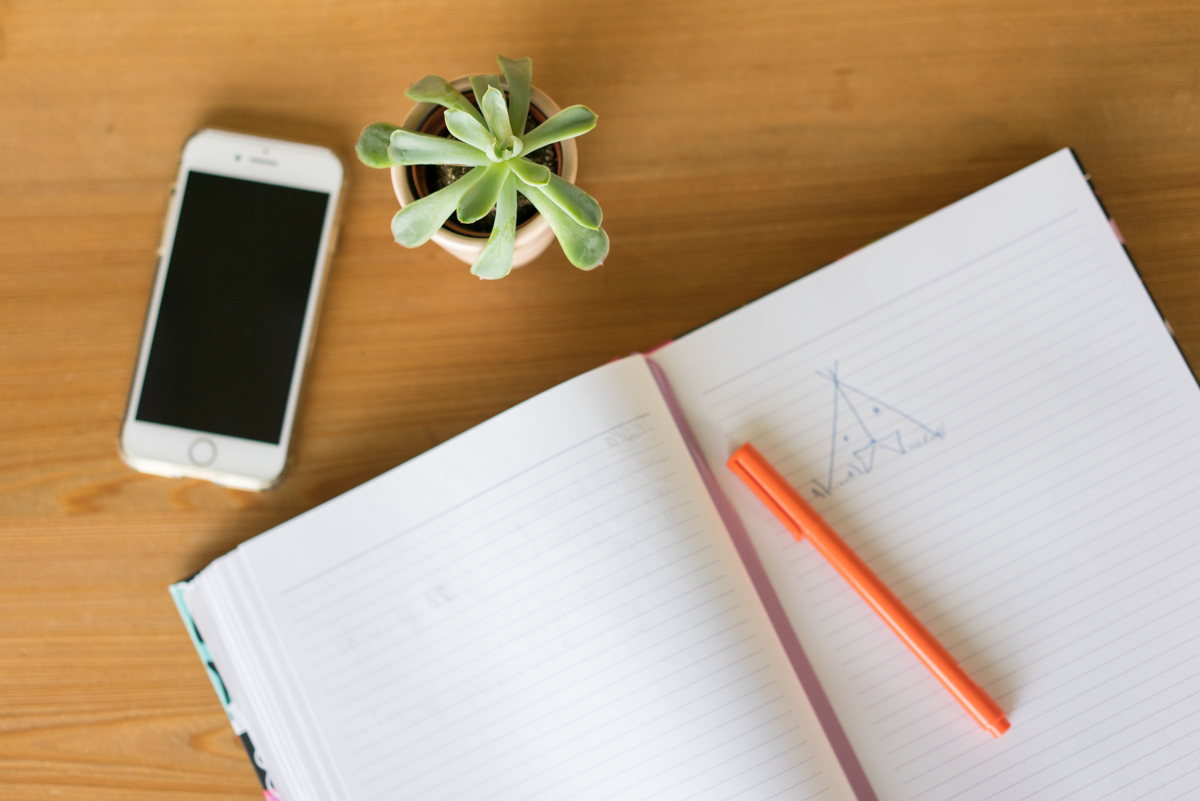 Overhead shot of an open notebook with pen, an iPhone, and a succulent