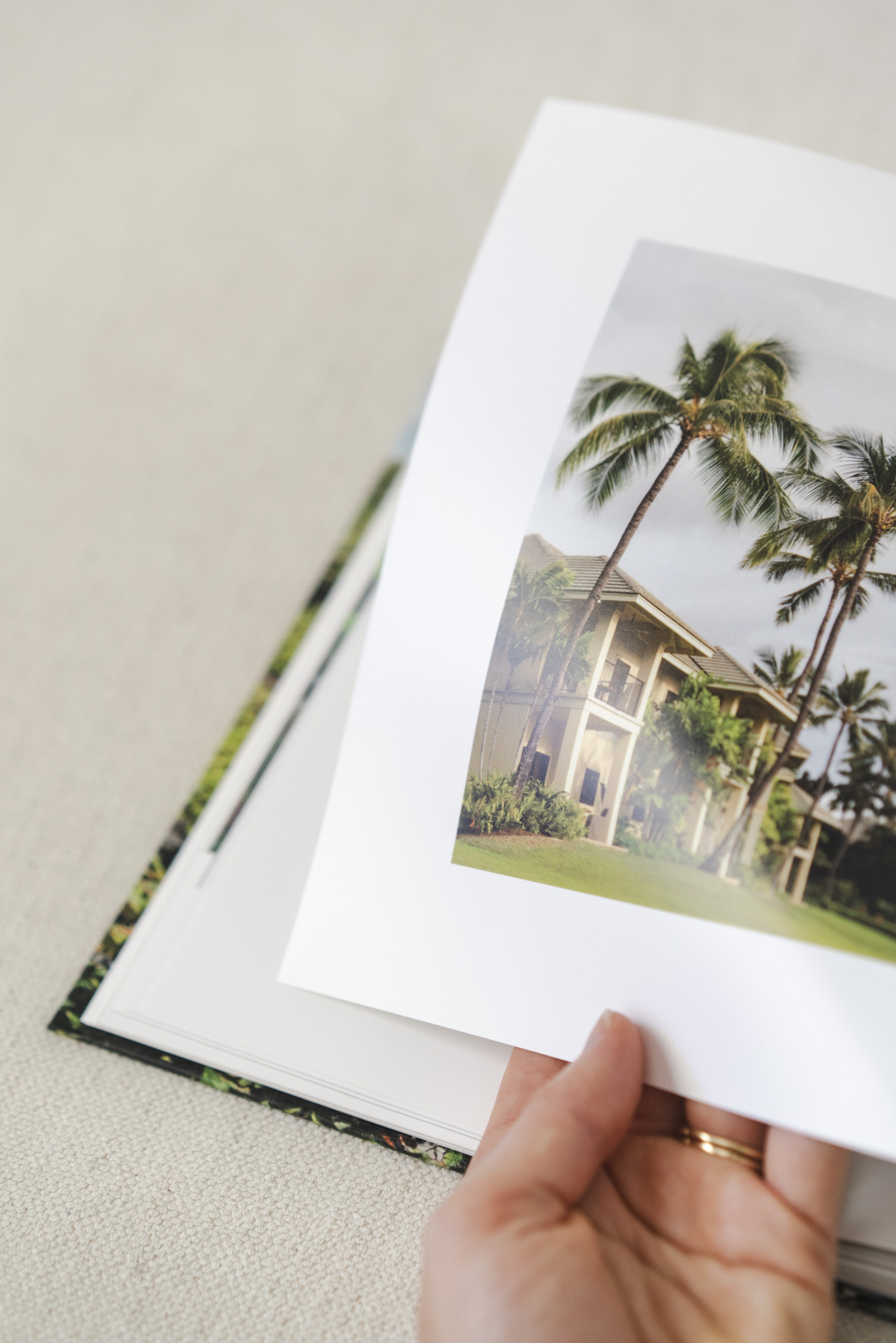 A close up of a palm tree photo inside one of the photo books. 