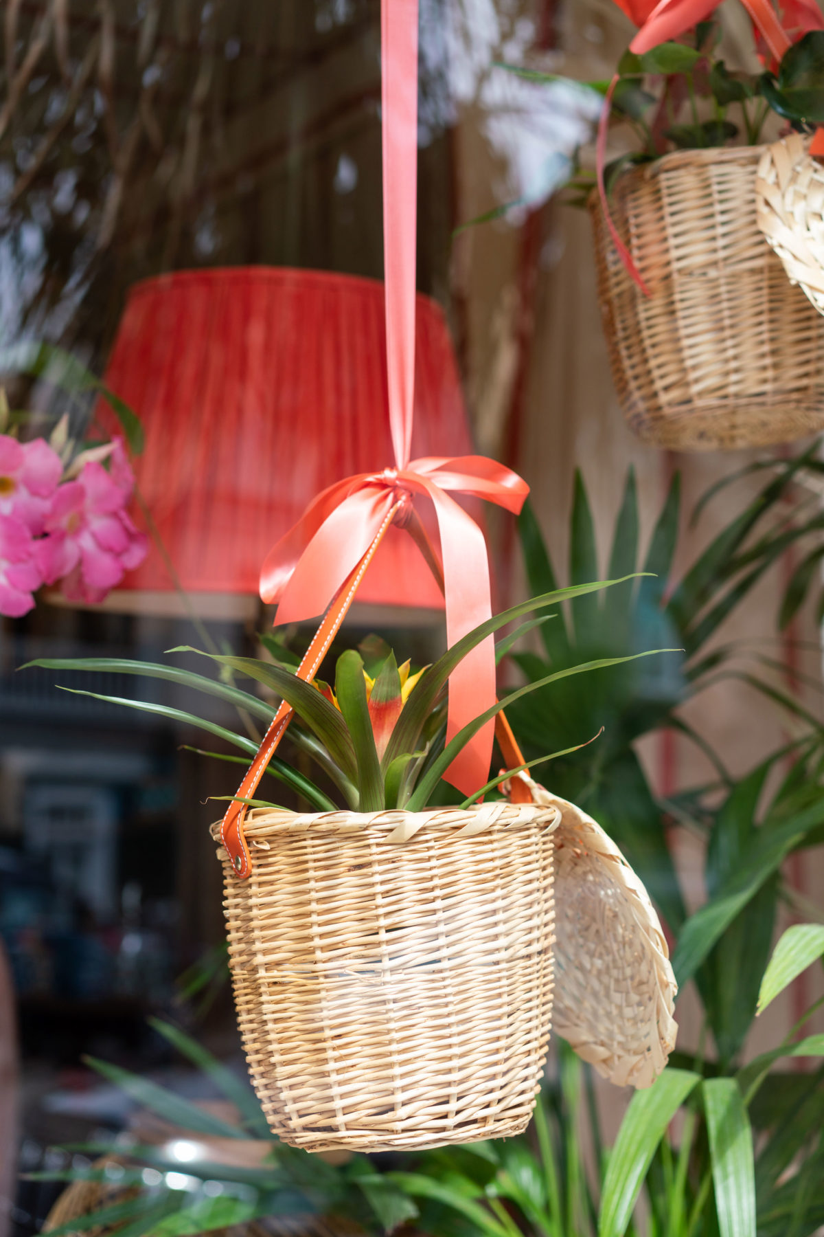 Window display at Amanda Lindroth on King Street in Charleston, SC