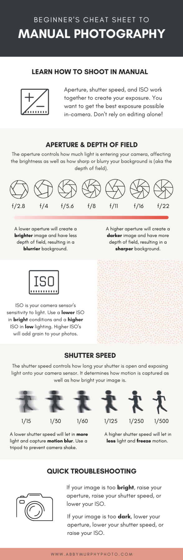An infographic titled "Beginner's Cheat Sheet to Manual Photography". The infographic includes tips on aperture, shutter speed, and ISO. 
